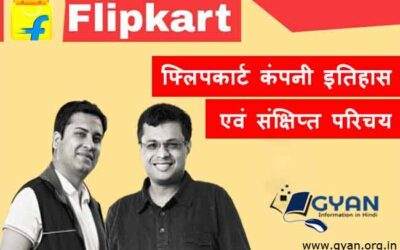 फ्लिपकार्ट कंपनी इतिहास एवं संक्षिप्त परिचय (Flipkart Company History and Brief Introduction in Hindi)